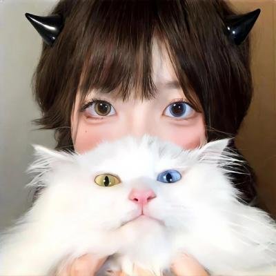 红楼春怨